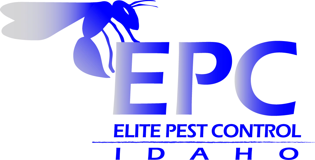 Elite Pest Control Experts, Pest Control, Local